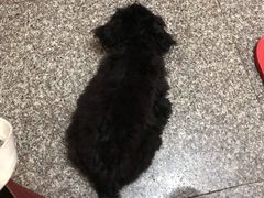-渝蛙馆(新百店)