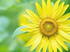 -杭州城北体育公园