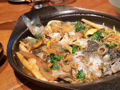 啫啫海鲈鱼-SHAN山(前滩太古里店)