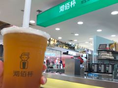 -沏佰杯(金元宝店)