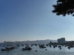 -幸福门