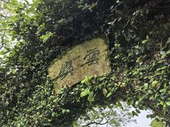 -南山植物园