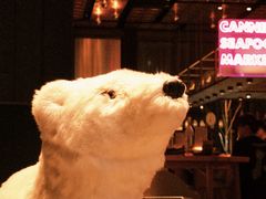 -THE CANNERY&JUJU 新鲜海鲜·牛排美食酒廊