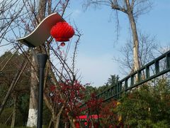 -成飞公园