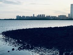 -深圳湾公园(南山区)