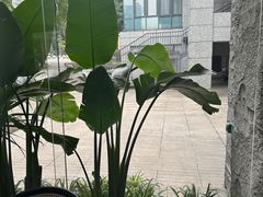 -铜锣湾·有麝自然香(渝北财富中心店)