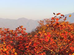 -水峪民俗村