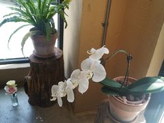 -邊渡咖啡