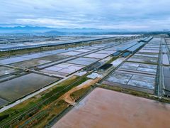 -莺歌海盐场