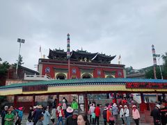 -塔尔寺-菩提树