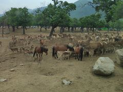 -西安秦岭野生动物园