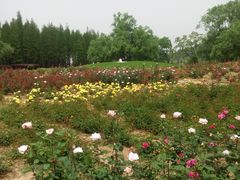 -采石矶景区