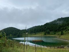 -武陵山森林公园