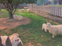 -云漫湖生态度假公园