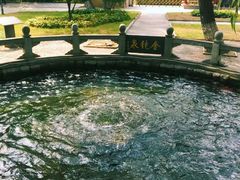 -百脉泉景区