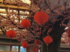 -鸥迪足道(安庆店)