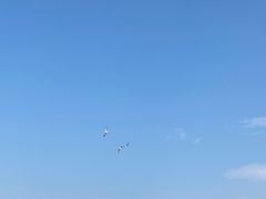 -西昌邛海湿地