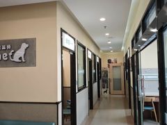 -爱派特动物医院·全科诊疗中心