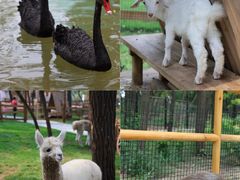 -南戴河国际娱乐中心