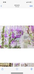 -韩国童感TOUCH PHOTO儿童摄影(朝阳分店)