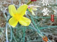 -城市运动公园(未央区)