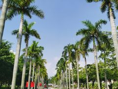 -厦门大学(思明校区)