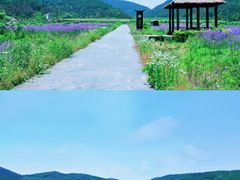 -九真山风景区