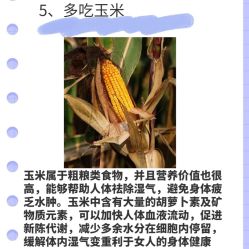 -Fundi张玉珊修身堂·indiba·BTL科技瘦身