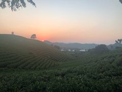 -帐篷客·溪龙茶谷度假酒店