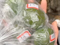 -乔家栅(襄阳南路店)