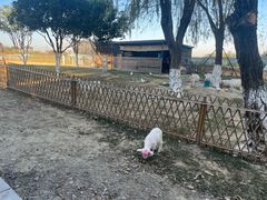 -嘉兴清池酒店温泉