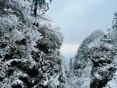 -峨眉山风景名胜区