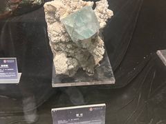 -中华赏石园