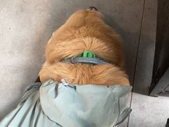 -蘑统田下·野生菌火锅