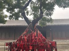 -河间府署