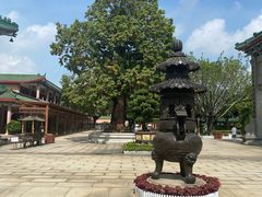 -广东圆玄道观