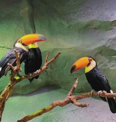 -Zoolung Zoolung动物主题公园(海信广场店)