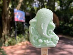 -广州长隆野生动物世界