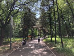 -长春市南湖公园