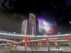 -演武大桥观景平台