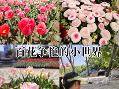 -杭州师范大学(下沙校区)