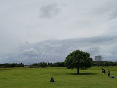 -无锡新湖铂尔曼大酒店