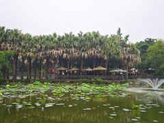 -龙潭水乡