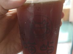 -喵屿·大理花园猫咖