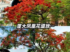 -厦门大学(思明校区)