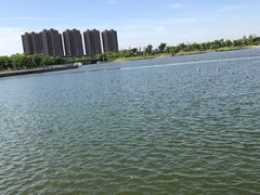 -映月湖中央公园
