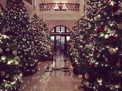 -LONG BAR 廊吧(外滩华尔道夫酒店)