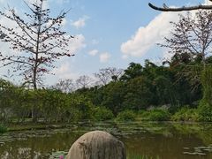 -中国科学院西双版纳热带植物园
