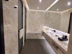 -东阿阿胶文化酒店