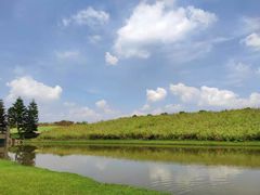 -迪茵湖田家舍生态农场